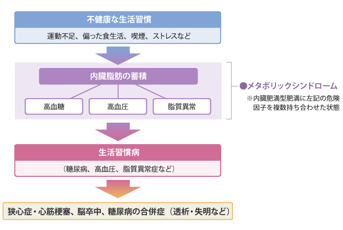 事業の概要グラフ